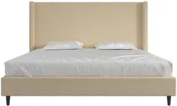 Textured Beige Canvas color