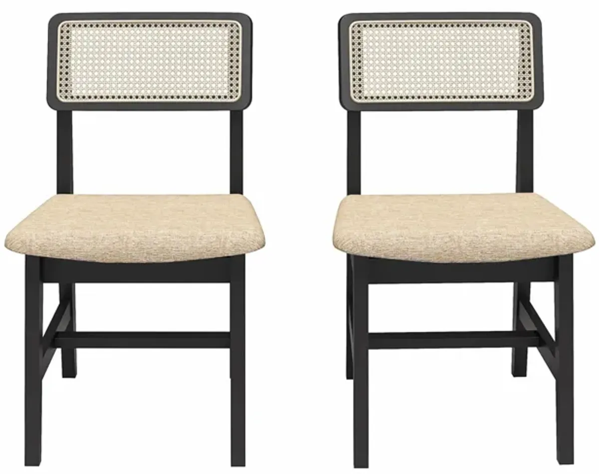 Eleni Cane Dining Chairs, Set of 2