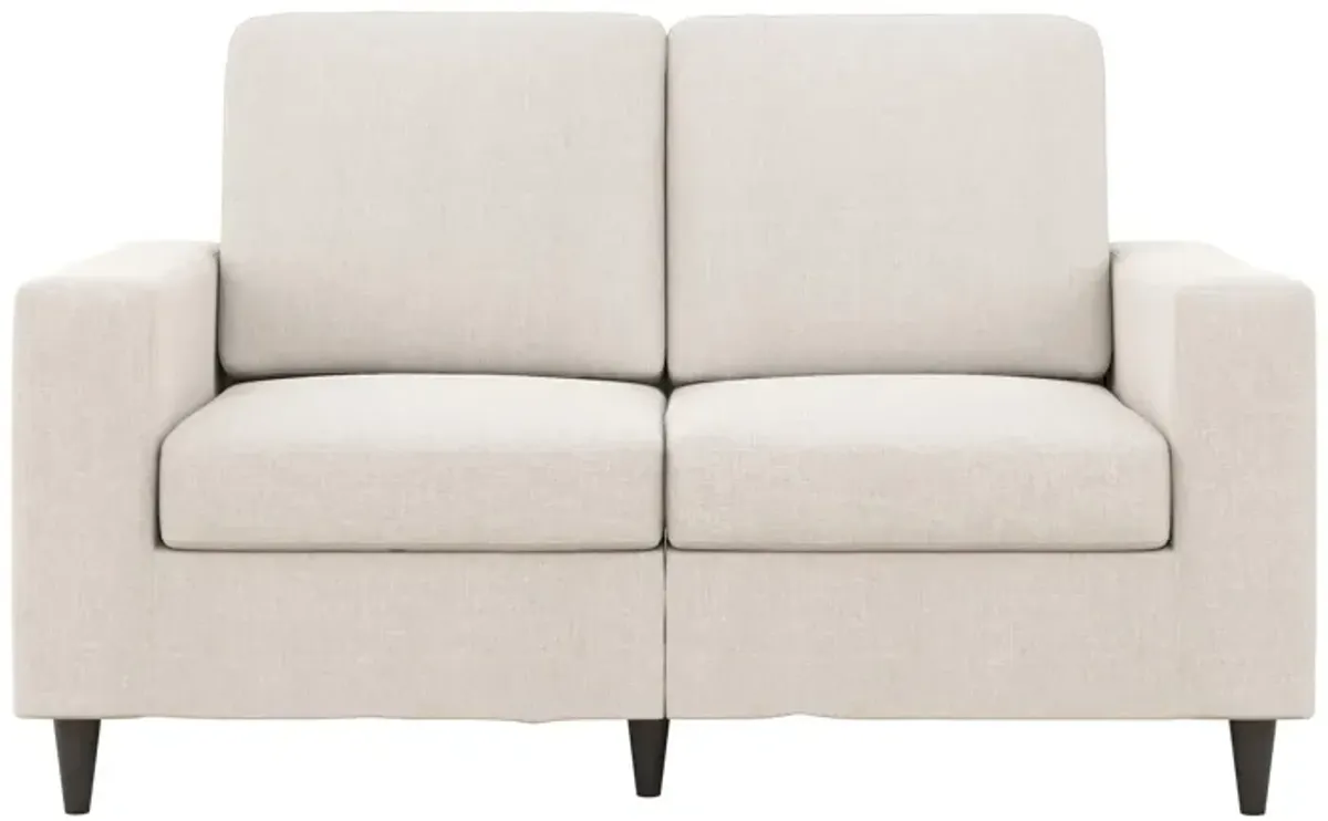 Coral Loveseat 2 Seater Upholstered Sofa