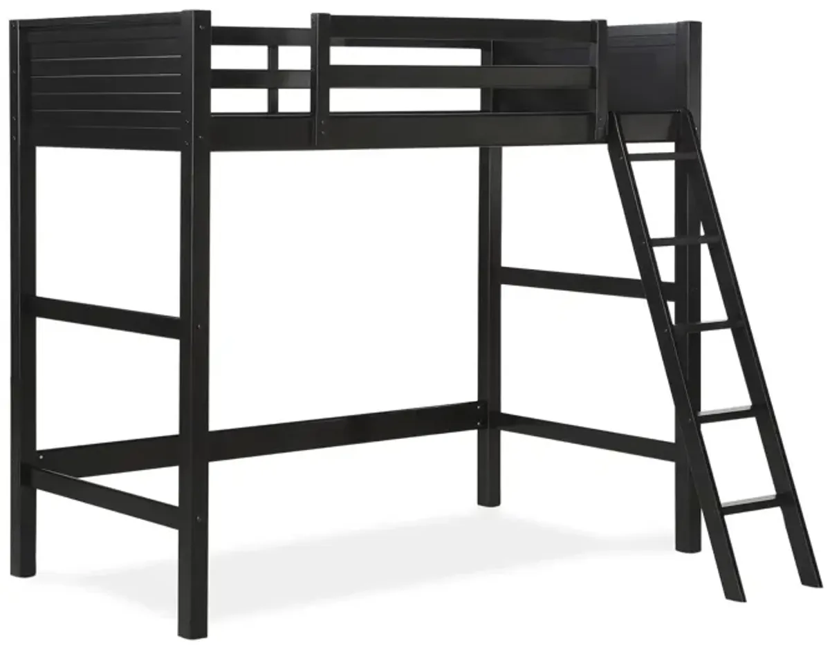 Kiarah Twin Loft Bed with Ladde