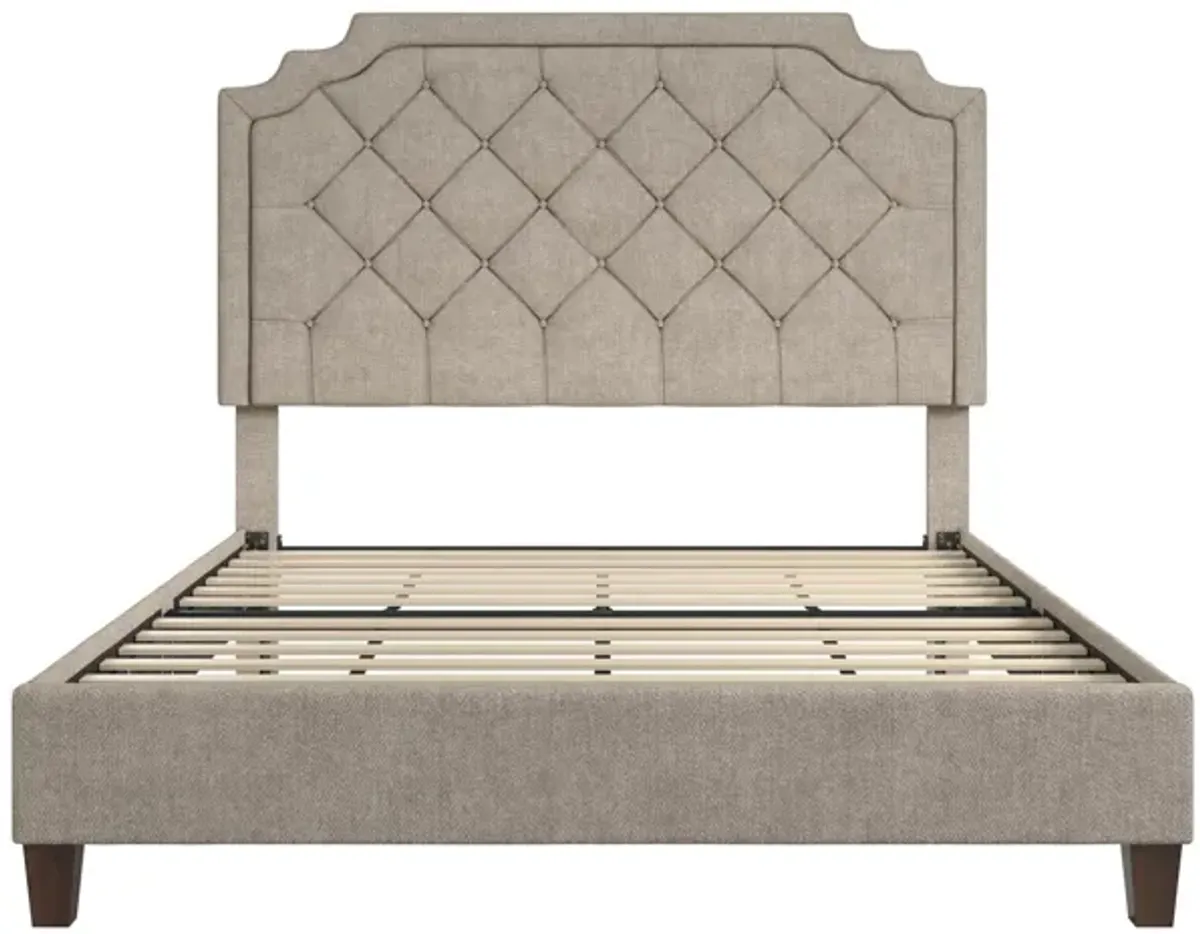 Eloise Chenille Upholstered Platform Bed