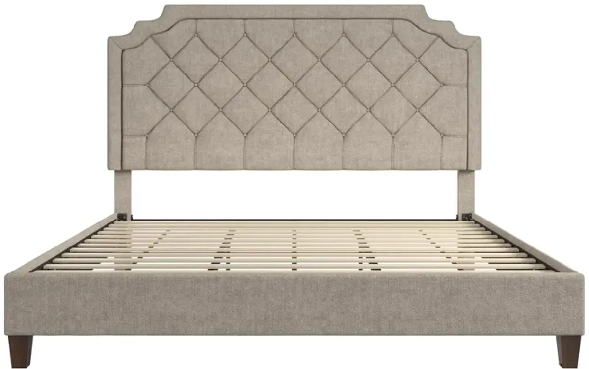 Eloise Chenille Upholstered Platform Bed