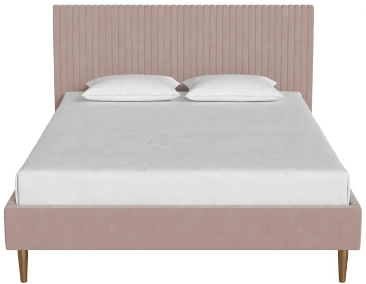 Daphne Velvet Upholstered Bed with Channel Tufted Headboard