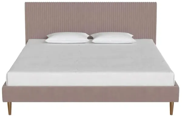 Daphne Velvet Upholstered Bed with Channel Tufted Headboard