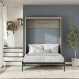 Gray Oak color