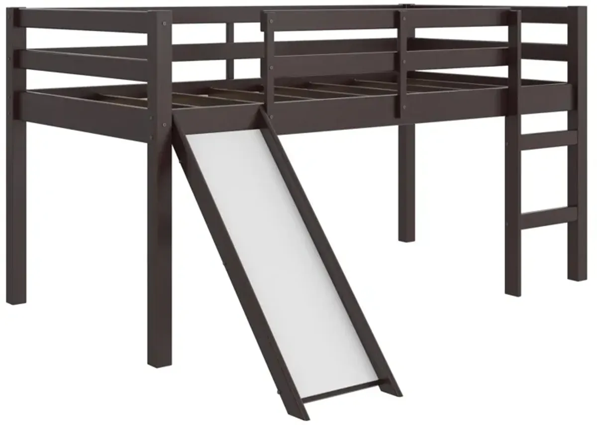 Milton Twin Low Loft Bed with Slide