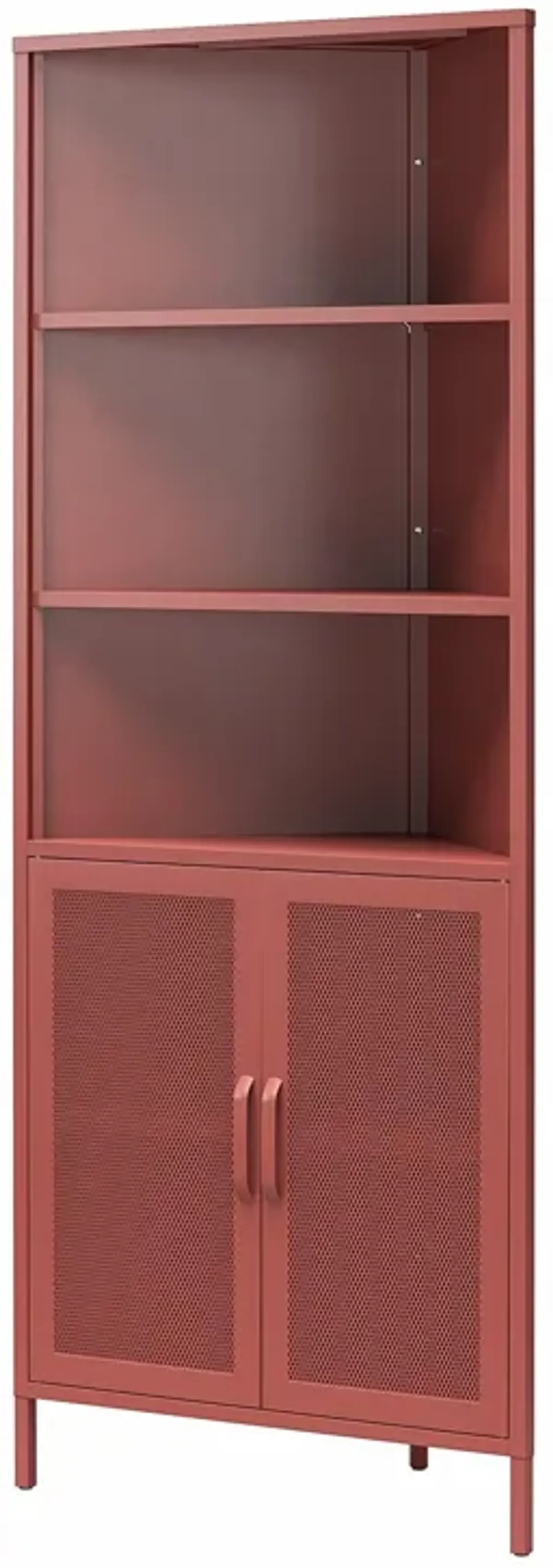 Channing 2 Doors Corner Storage Cabinet with Shelves