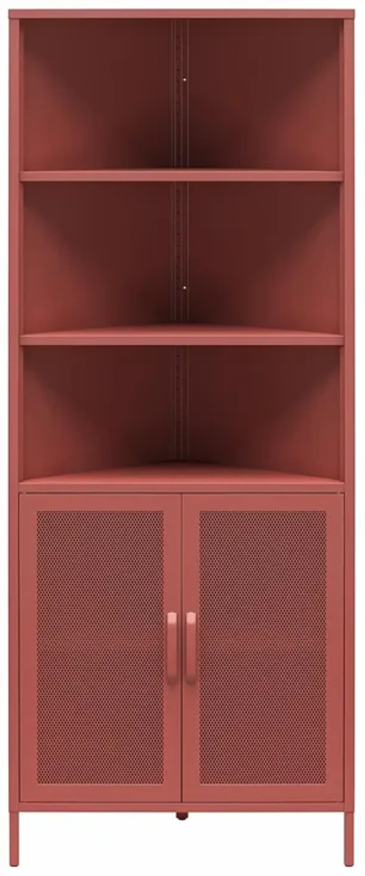 Channing 2 Doors Corner Storage Cabinet with Shelves