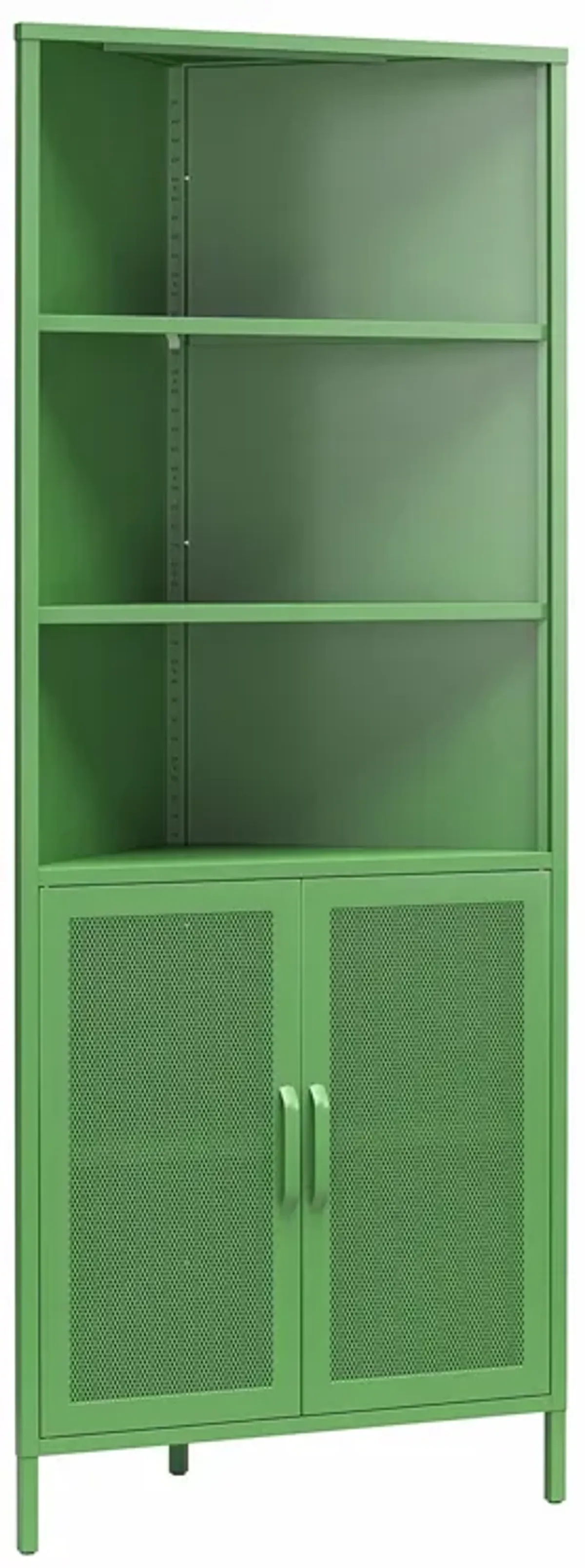 Channing 2 Doors Corner Storage Cabinet with Shelves