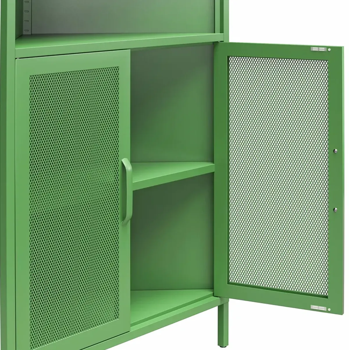 Channing 2 Doors Corner Storage Cabinet with Shelves