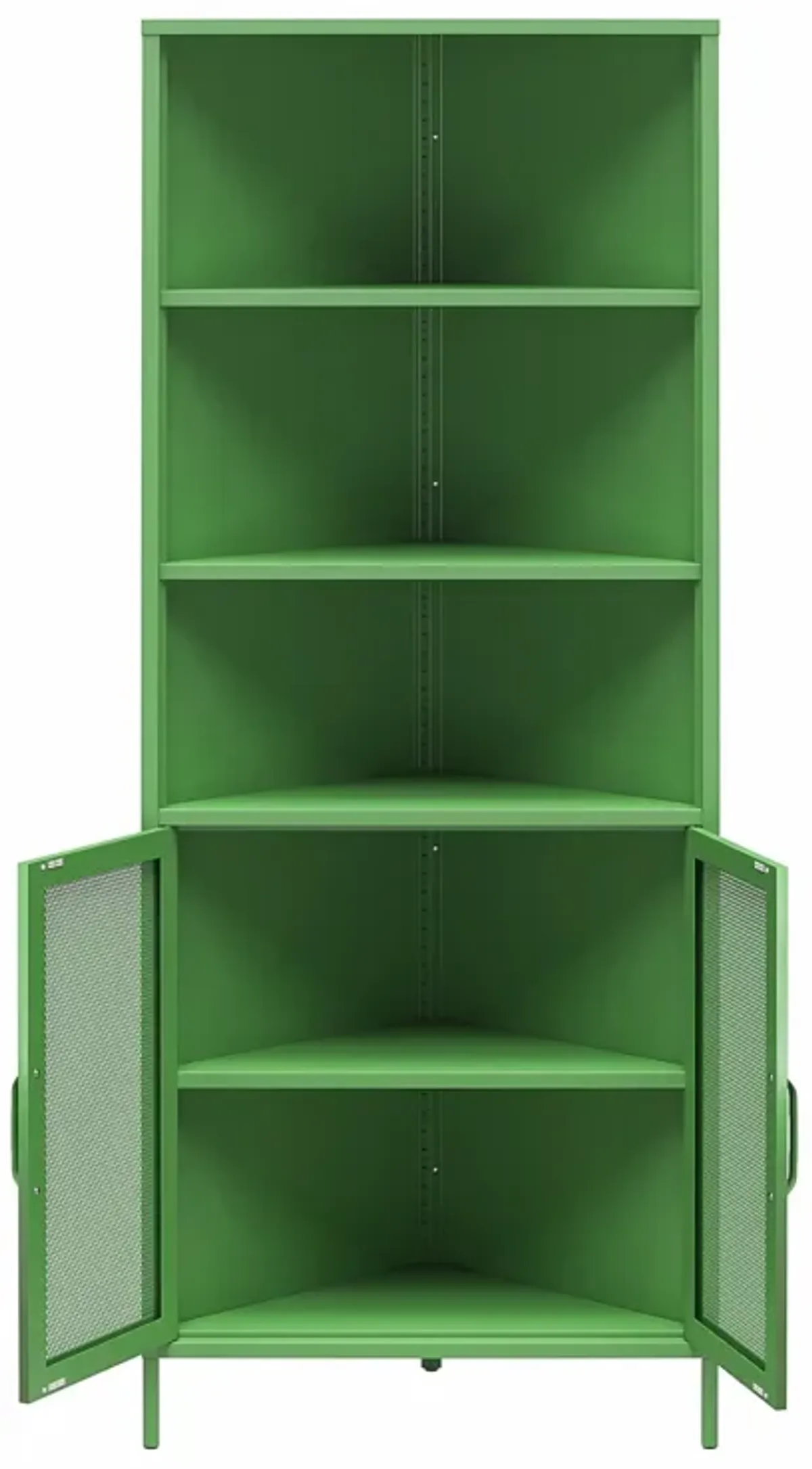 Channing 2 Doors Corner Storage Cabinet with Shelves