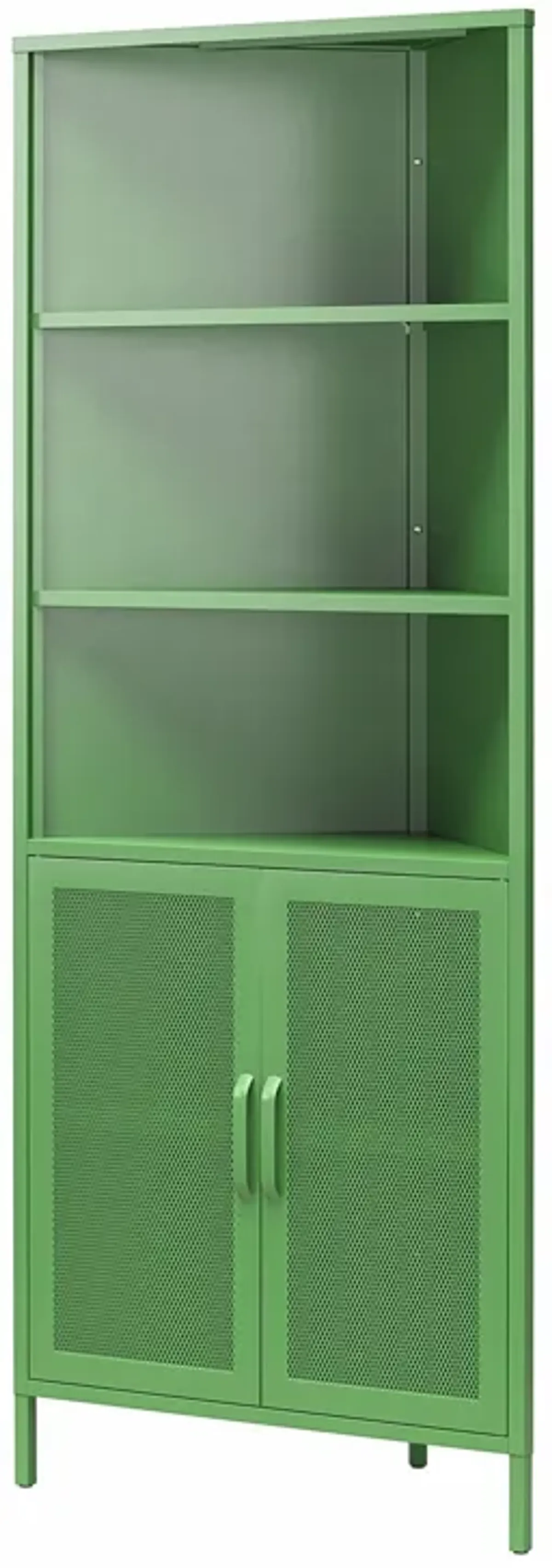 Channing 2 Doors Corner Storage Cabinet with Shelves