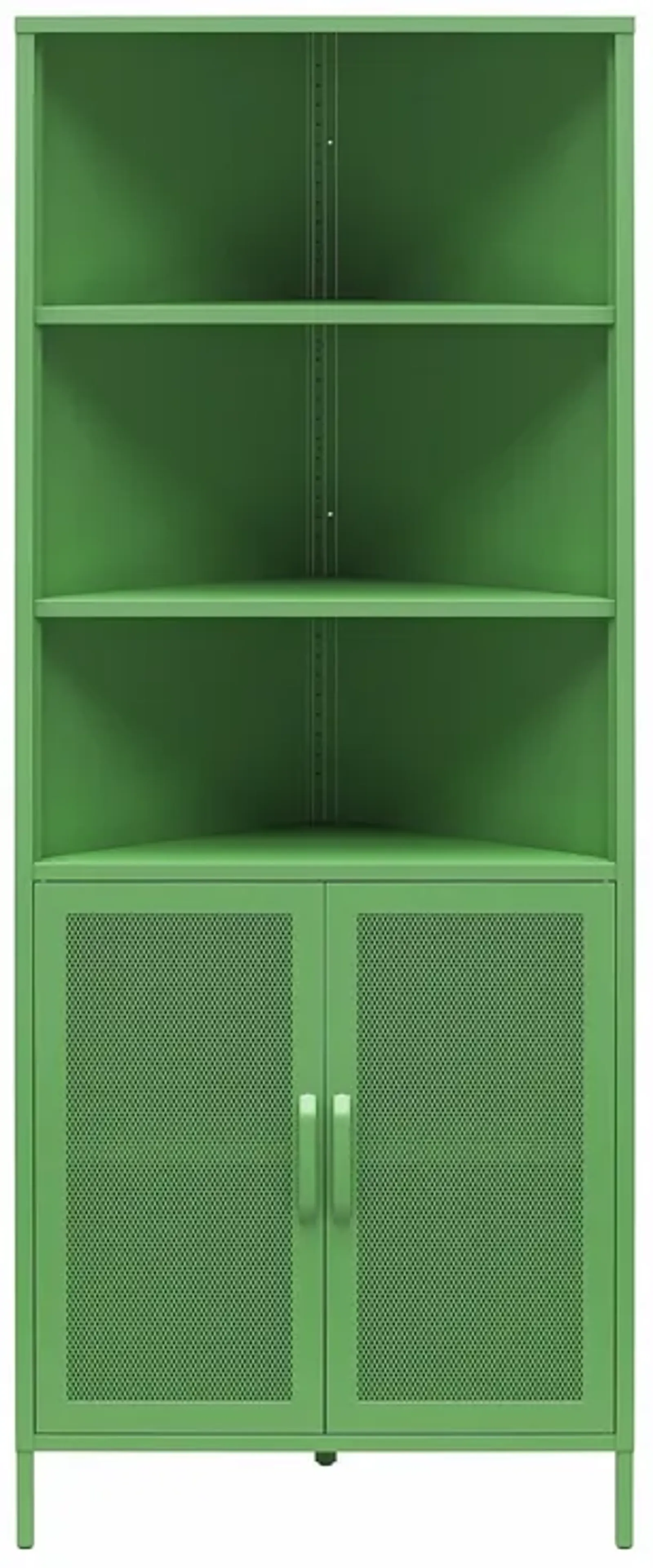 Channing 2 Doors Corner Storage Cabinet with Shelves