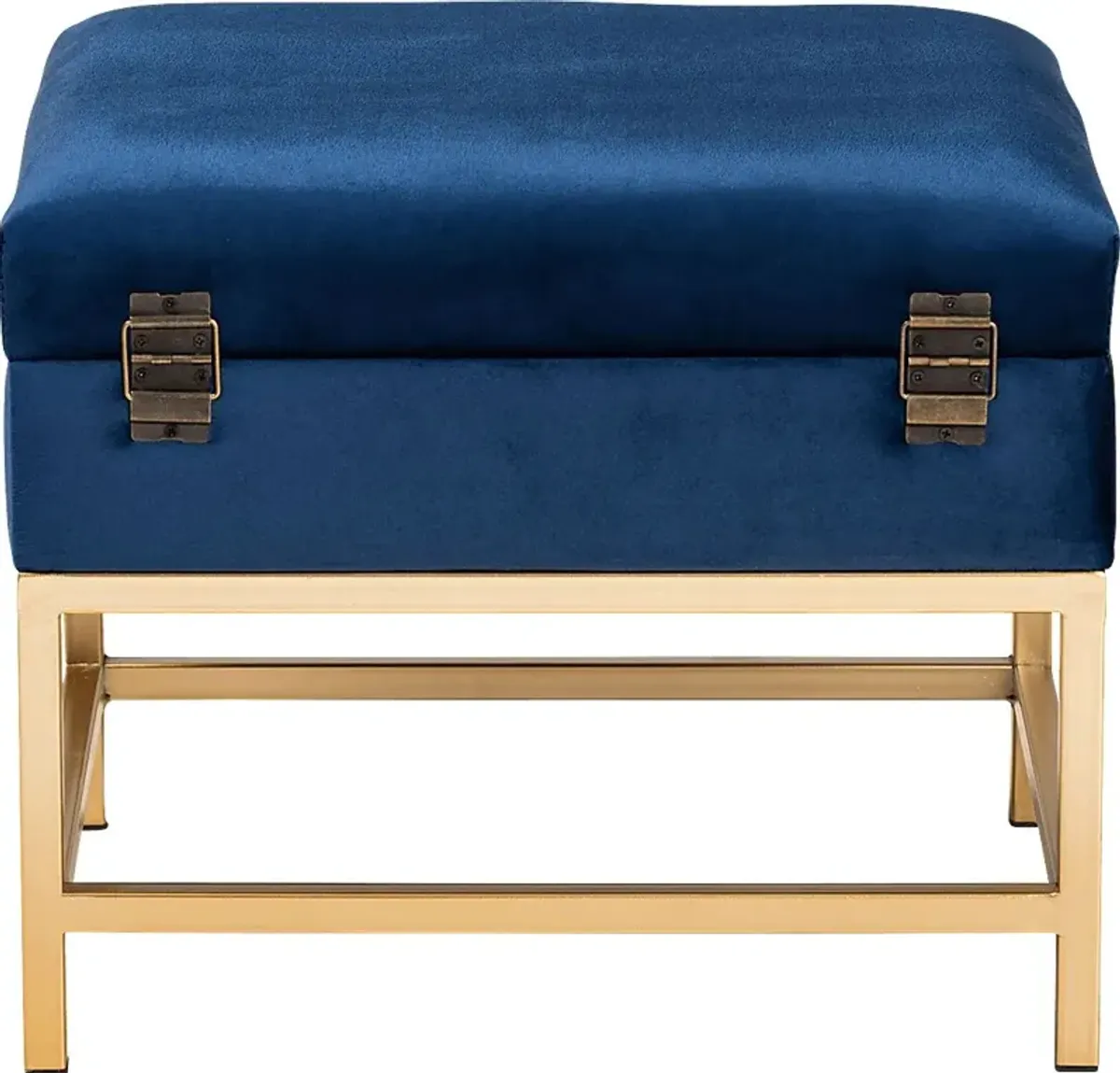 Wiltz Blue Storage Accent Ottoman