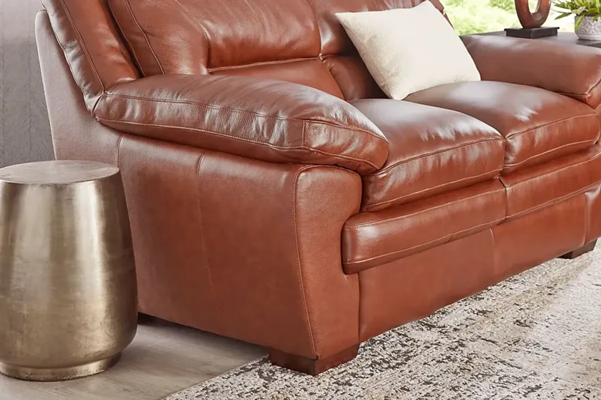 Hayworth Brown 2 Pc Leather Living Room