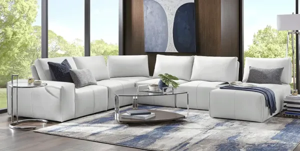 Davis Park Platinum 6 Pc Sectional