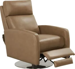 Saddle color