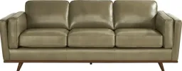 Olive color
