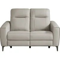 Parkside Heights Gray Leather Loveseat
