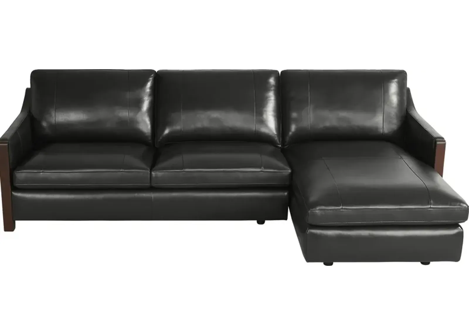 Greenwich Loft Black Leather 2 Pc Sectional