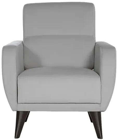 Trysail Gray Accent Chair