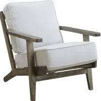 Coesta Taupe Accent Chair