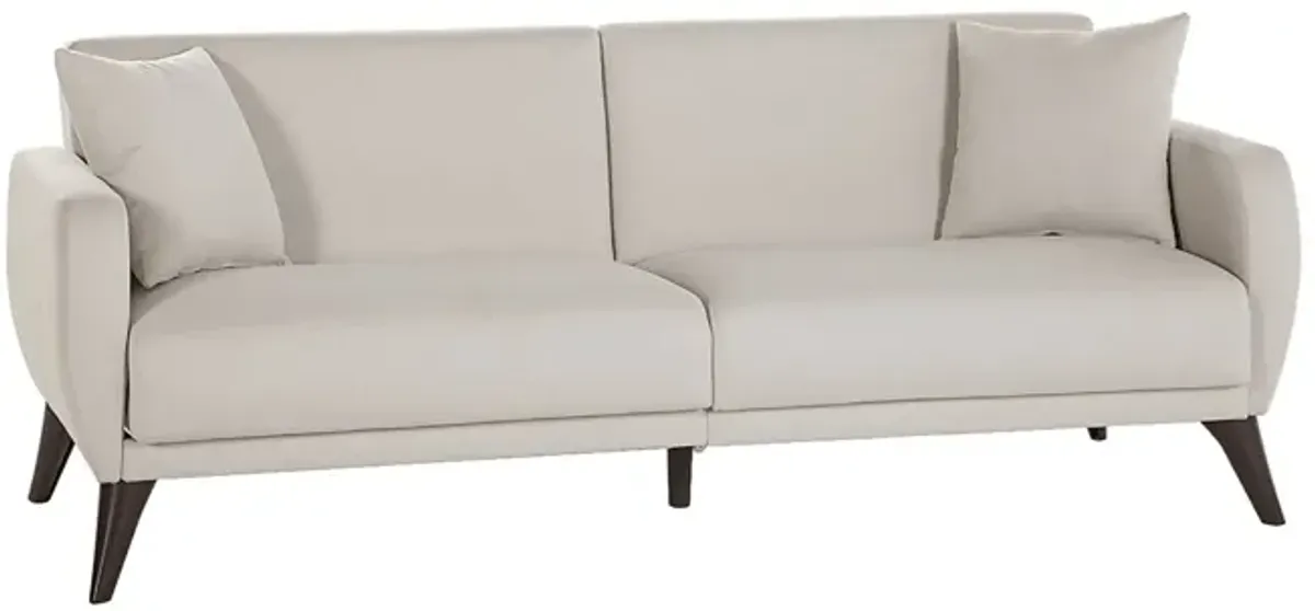 Tusico Beige Sleeper Sofa