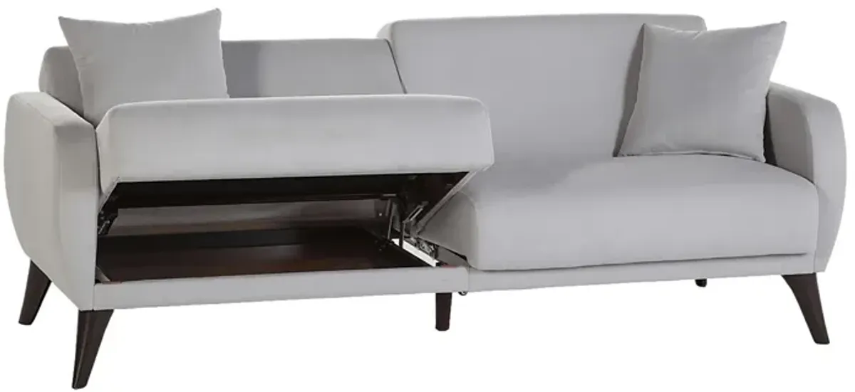 Tusico Gray Sleeper Sofa