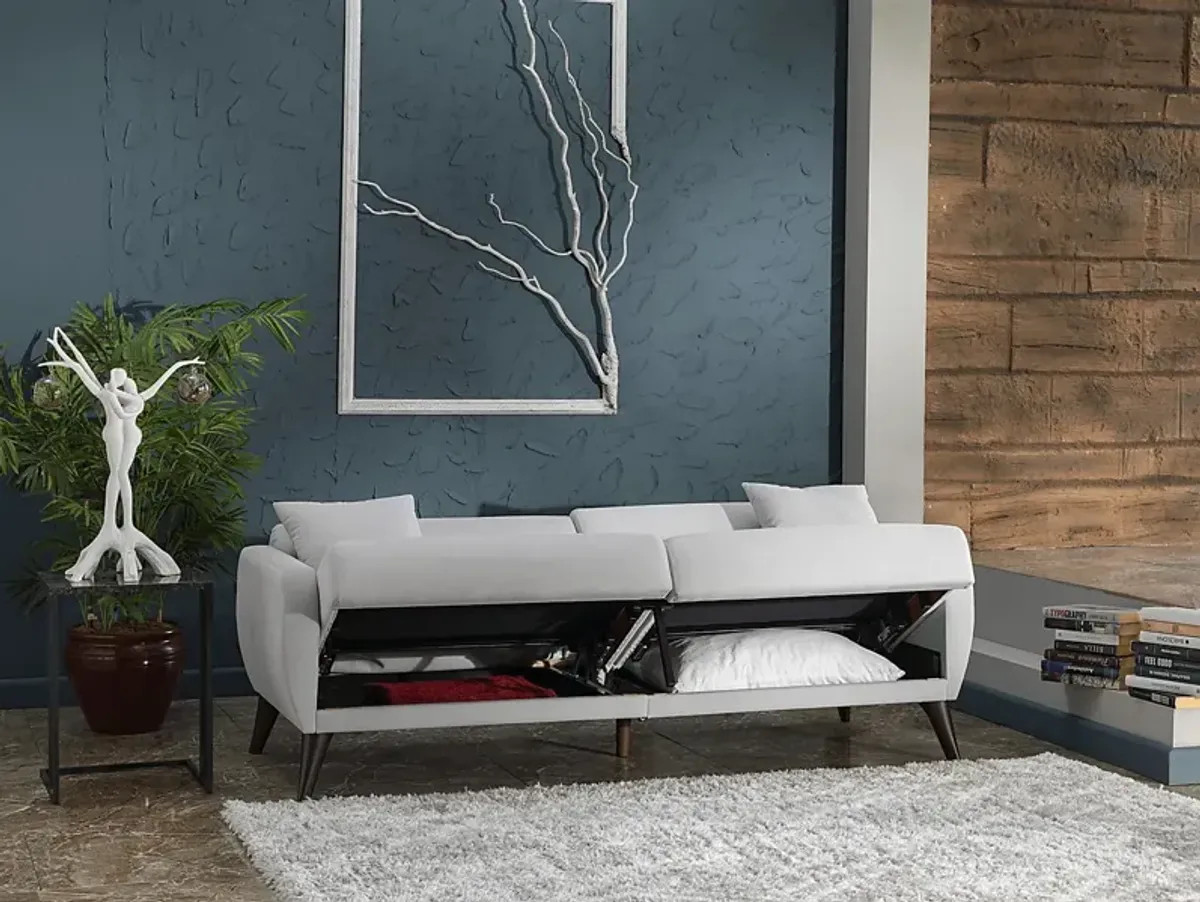 Tusico Gray Sleeper Sofa