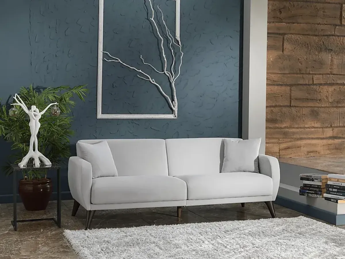 Tusico Gray Sleeper Sofa