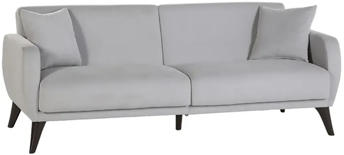 Tusico Gray Sleeper Sofa