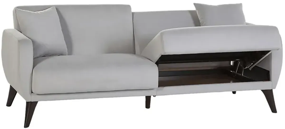 Tusico Gray Sleeper Sofa