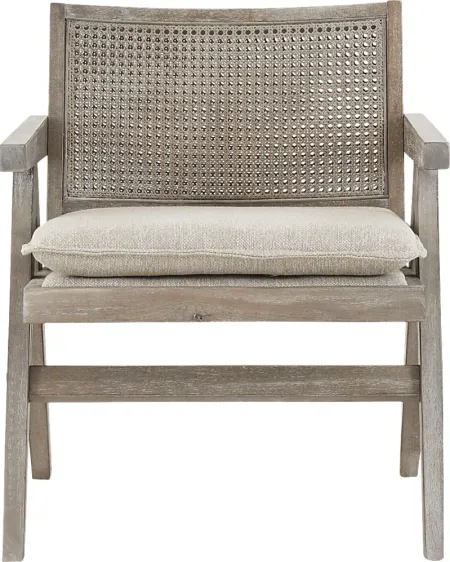 Cleanova Gray Accent Chair
