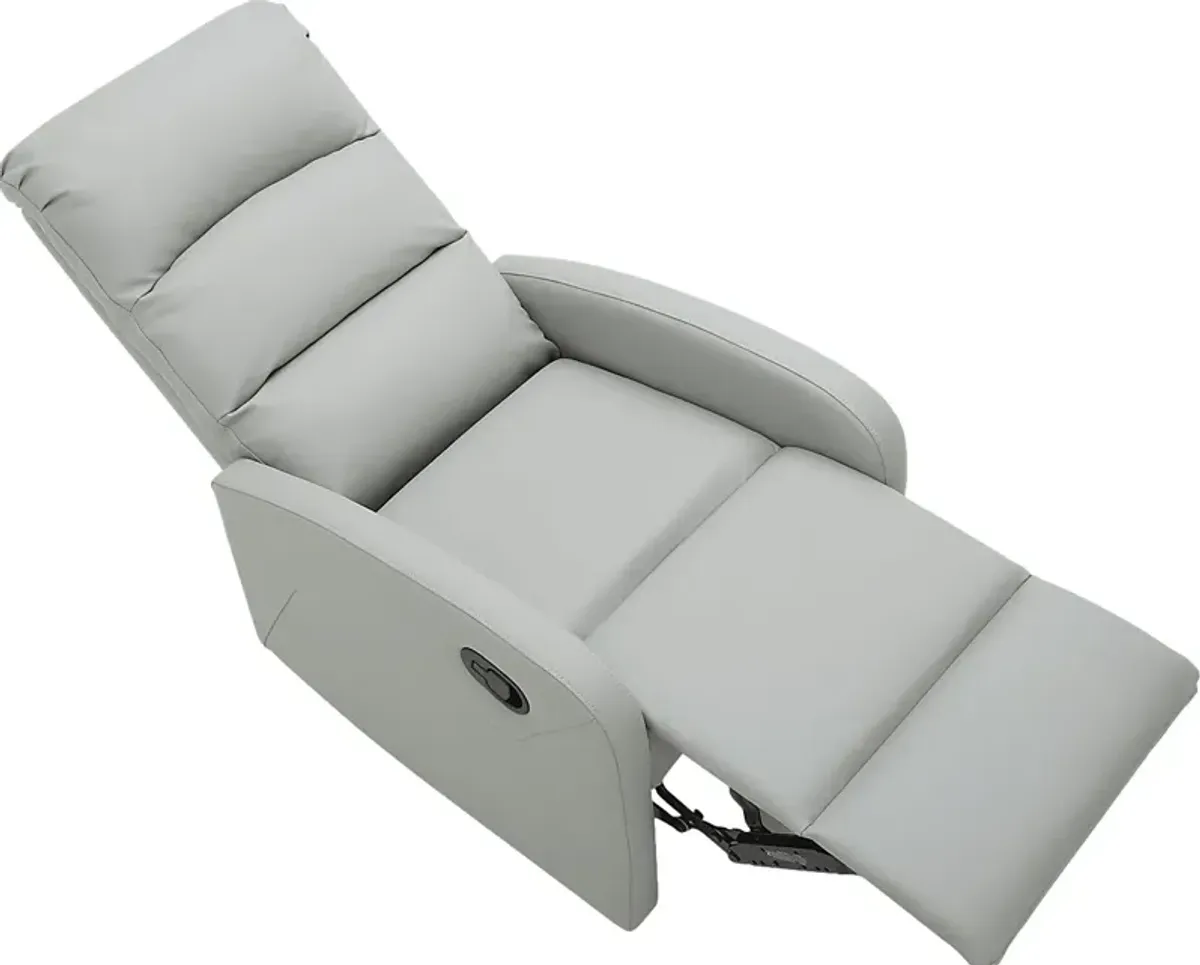 Royervista Gray Recliner