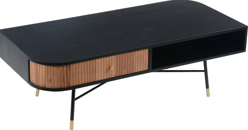 Fernery Black Cocktail Table