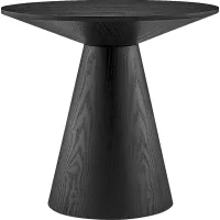 Amnicon Black End Table