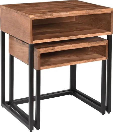 Dawlin Brown Nesting Tables, Set of 2
