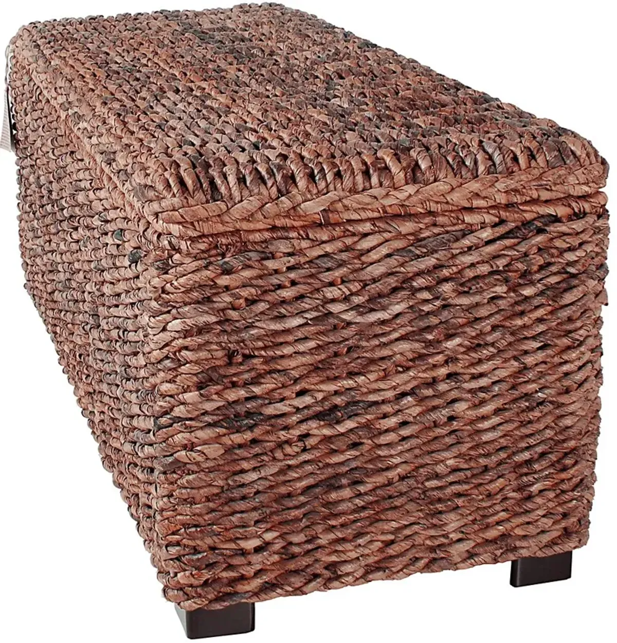 Elaney Ann Brown Storage Trunk