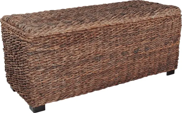 Elaney Ann Brown Storage Trunk