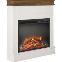 Annegret Ivory 29 in. Console with Electric Fireplace