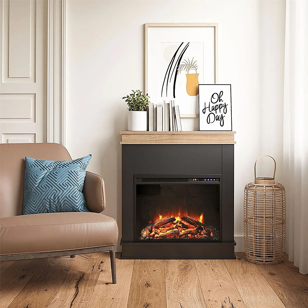 Annegret Black 29 in. Console with Electric Fireplace