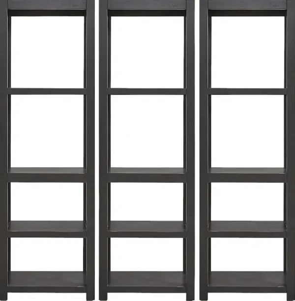 Danusa II Black 3 Pc Bookcase Set