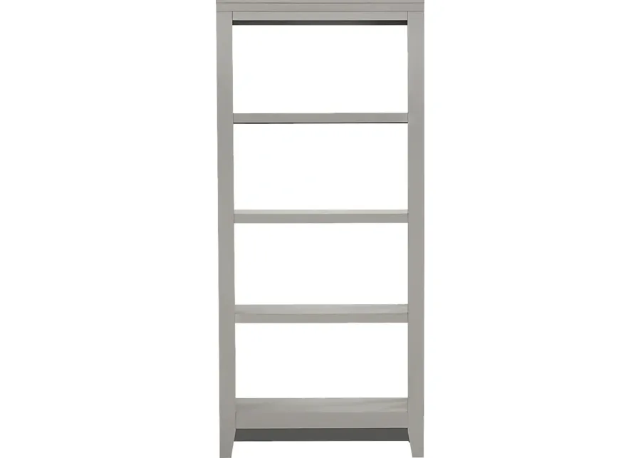 Abbie Silver Bookcase