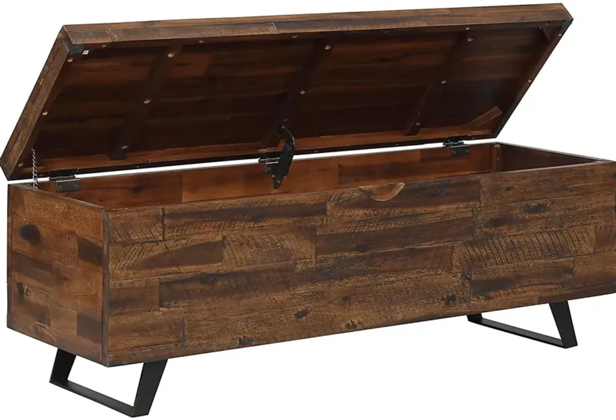 Brodnex Brown Storage Trunk