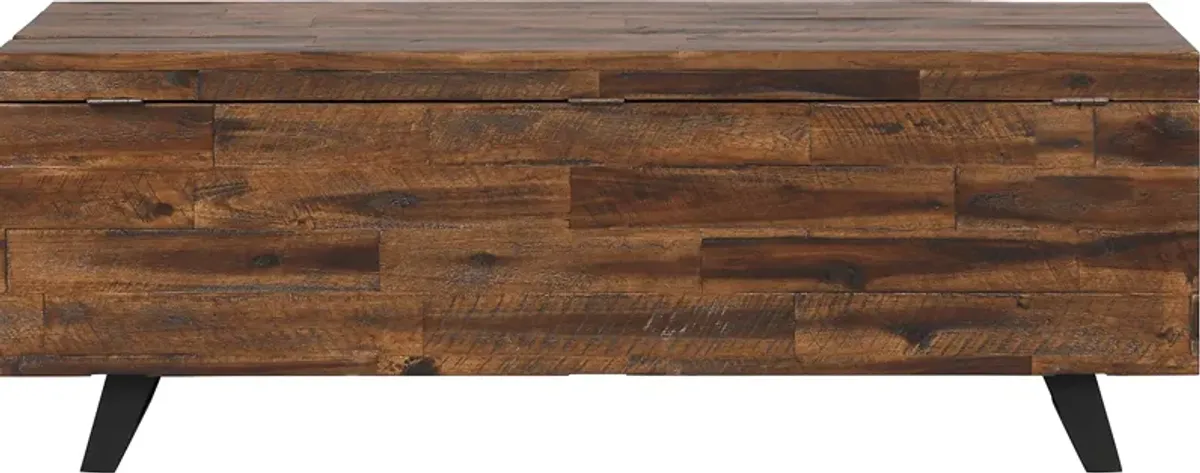 Brodnex Brown Storage Trunk