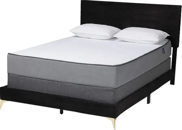 Alachua Black Queen Bed