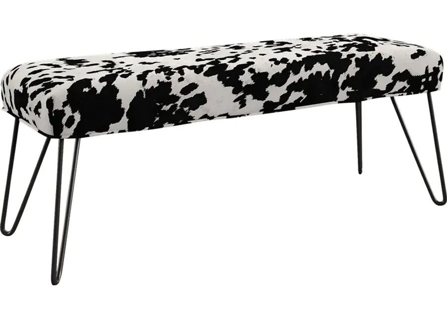 Oleandri Black Accent Bench