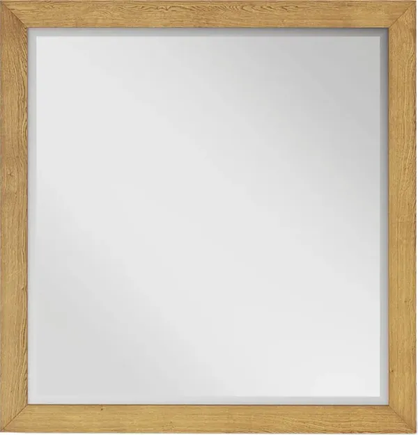 Ithaca Natural Mirror