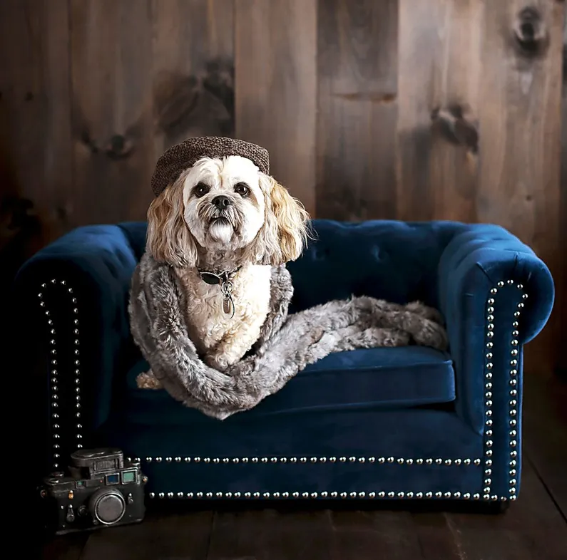 Terrier Navy Pet Bed