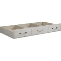 Kids Caraway Cove Gray Twin Storage Trundle